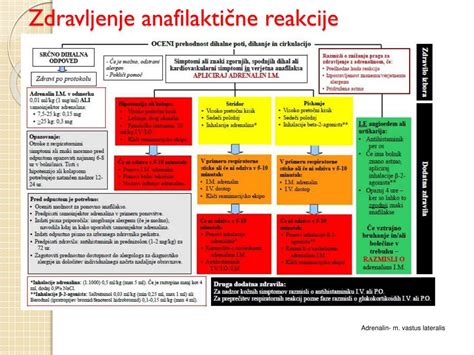 Shema: Simptomi anafilaktične reakcije