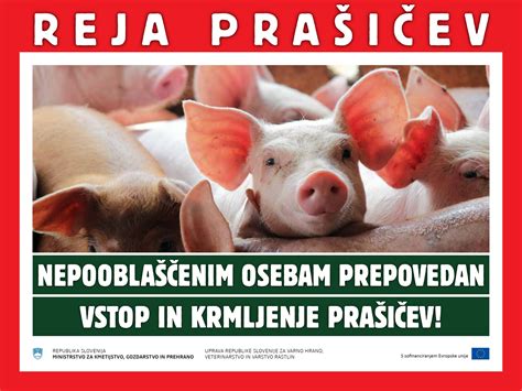 infografika o prednostih ekološke reje prašičev