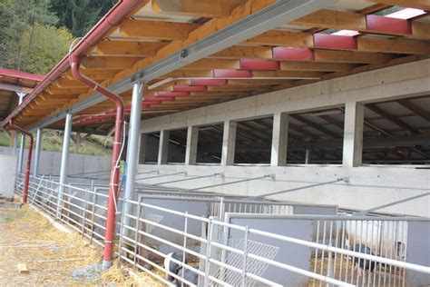 načrt hleva za ekološko rejo prašičev z zunanjim izpustom