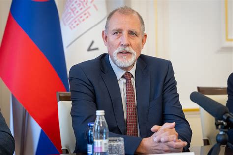 Tematska fotografija več različnih borovničevih tort, prikazanih na privlačen način