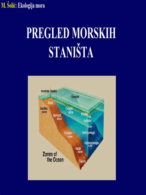 Skupni pregled hranilne vrednosti morskih sadežev