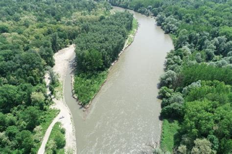 Fotografija vodne kreše, ki raste ob vodnem toku.