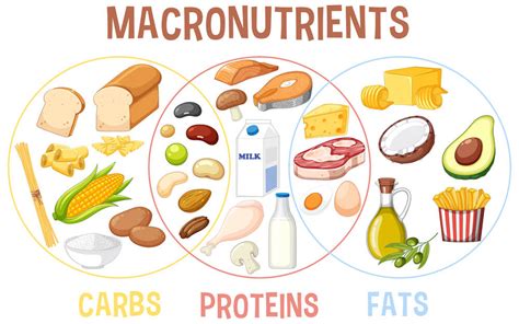 Infografika, ki prikazuje hranilno vrednost mesa hobotnice (vitamini, minerali, beljakovine, maščobe, ogljikovi hidrati)