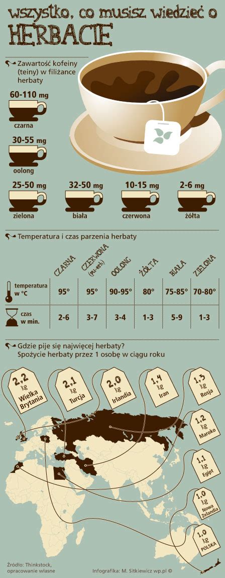 infografika o drožeh in fermentaciji