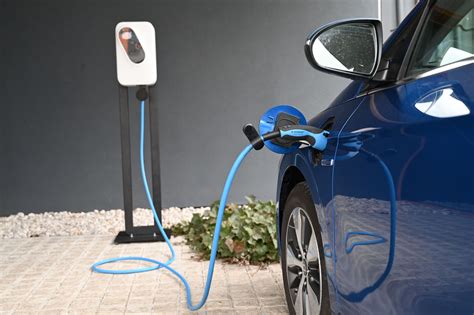 Ilustracija očiščenih paprik, ki čakajo na polnjenje.