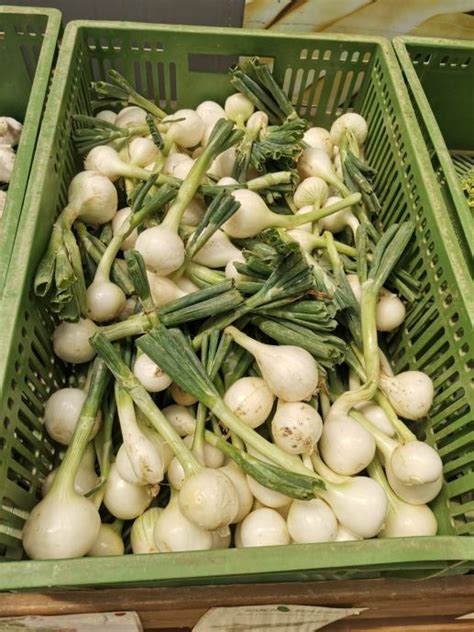 Izbor sveže zelenjave, česna, ingverja in kurkume