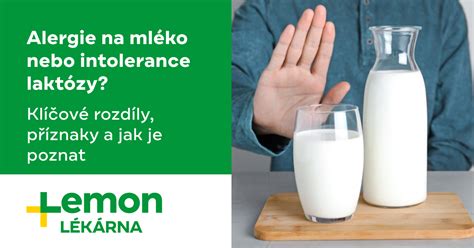 Infografika: Pregled najpogostejših simptomov intolerance na mleko in mlečne beljakovine (napihnjenost, prebavne težave).