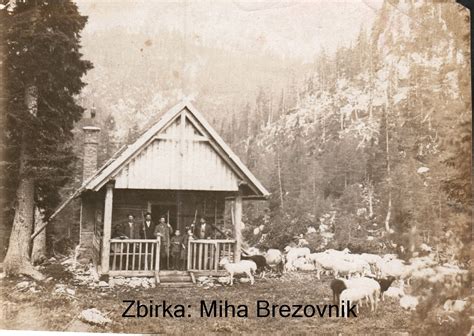 Mohant zori v lesenih škafih