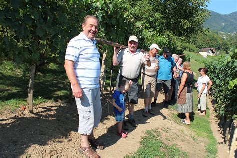 Slika vinogradov in vinskih kleti v Andaluziji
