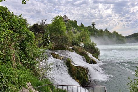 Slika vinogradov v regiji Niagara s slapovi v ozadju
