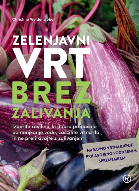 Shema pravilnega zalivanja fižola med vrstami brez močenja listov