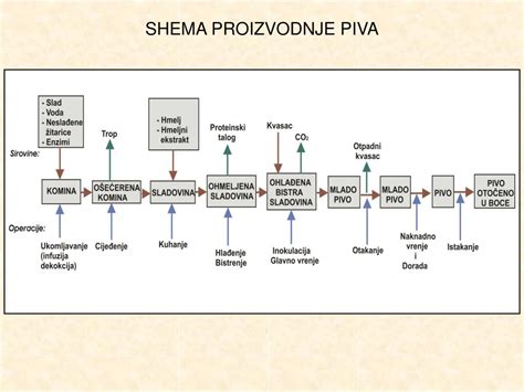 shema: proces proizvodnje kuhane šunke in ključni koraki