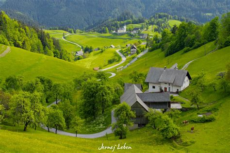 Thematic photo of hunters in Slovenian countryside