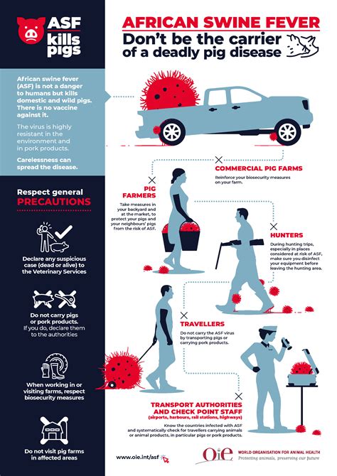 Infographics on ASF spread in Europe