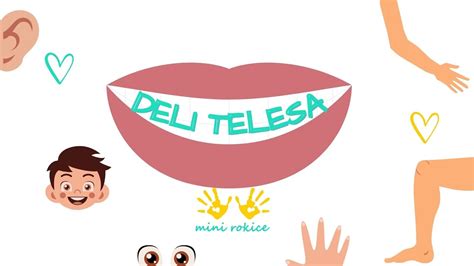 Shema čiščenja lignja z označenimi deli