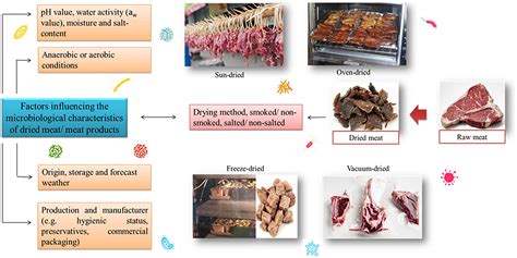 Stages of prosciutto production, from fresh leg to cured meat