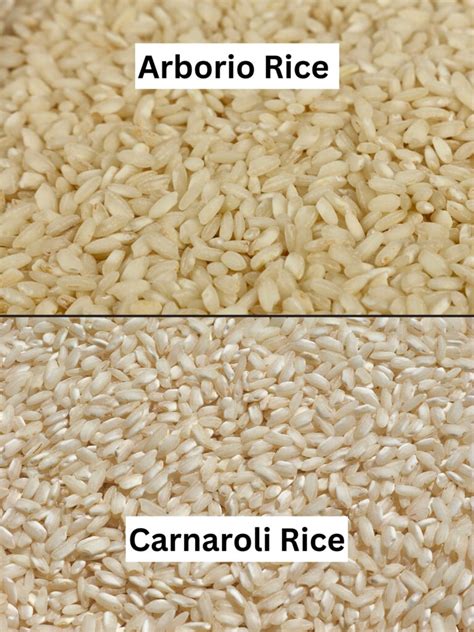 Infographic showing different types of rice suitable for risotto (Arborio, Carnaroli) with descriptions of their starch content and cooking properties.