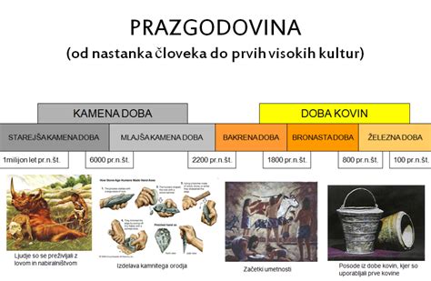 Zgodovinski razvoj kruha: od pradavnine do danes (infografika)