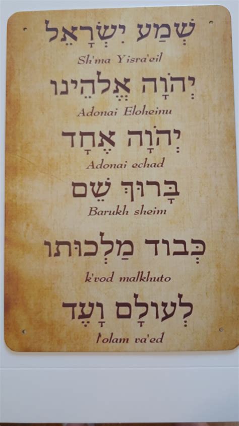 Shema koristi čilija