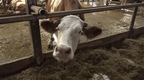 fotografija Mojce Kravine in njenih izdelkov