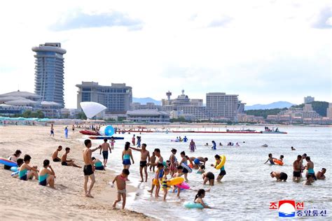 Turisti sodelujejo pri sajenju riža v Severni Koreji