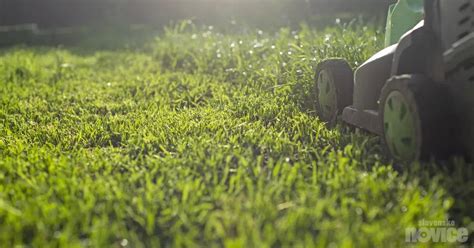 primer zastirke na vrtni gredi s pokošeno travo
