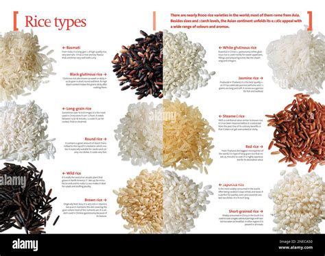 Infographic showing different types of rice suitable for risotto