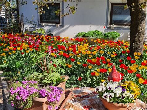 fotografija: sramežljiva oseba, ki se umika, s simboli stresa