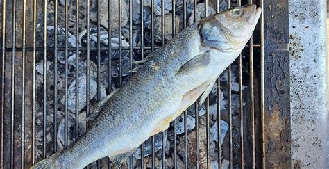 Ilustracija različnih metod priprave hrenovk: kuhanje, pečenje na žaru, praženje v ponvi.