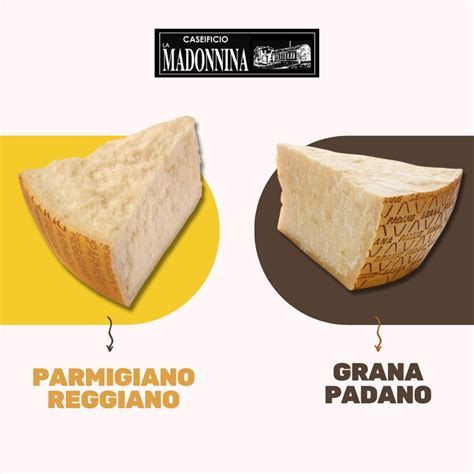 Infografika: Hranilna vrednost sira Parmigiano Reggiano/Grana Padano