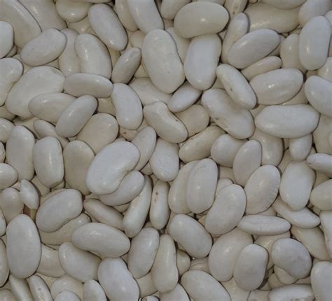 Sestavine za pasulj: suh fižol tetovec, prekajena rebra, klobasa, čebula, korenje, česen