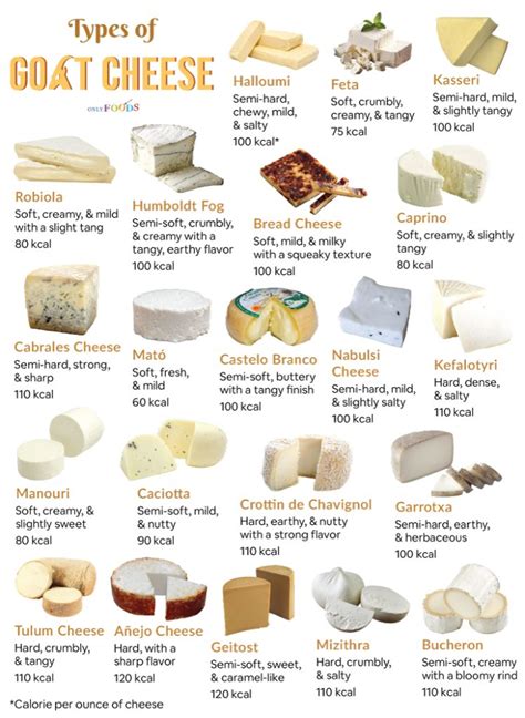 Infographic showing different types of cottage cheese and their origin (cow, goat, sheep)
