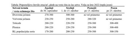 shema sajenja čičerike z označenimi medvrstnimi razdaljami in globino setve