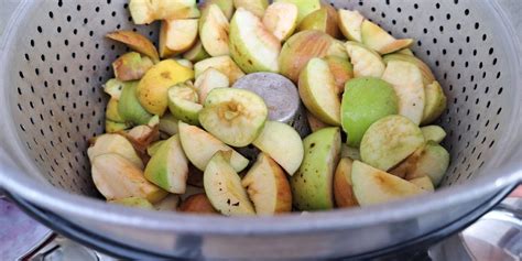 Postopek priprave svežega soka v sokovniku