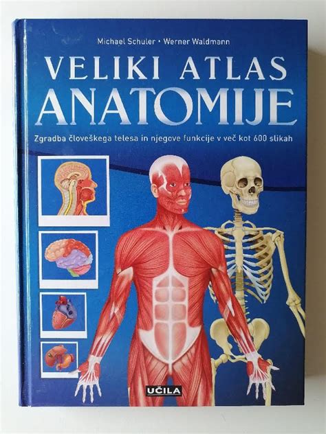 Sestavljena vizualna podoba: umetniška postavitev, kjer se prepletajo motivi človeškega telesa in organskih oblik zelenjave.