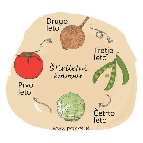 Infografika: Kolobarjenje za kapusnice
