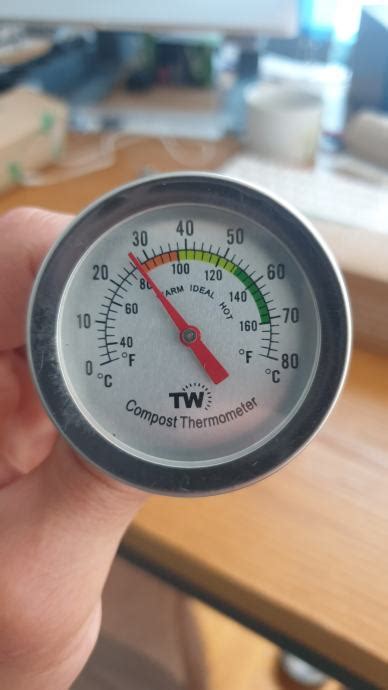 Ilustracija uporabe kuhinjskega termometra za preverjanje notranje temperature piščanca.