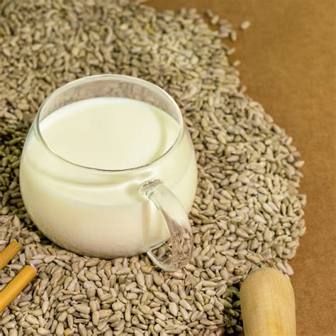 Photo of a glass of milky, homemade sunflower seed drink, emphasizing its natural and healthy properties.