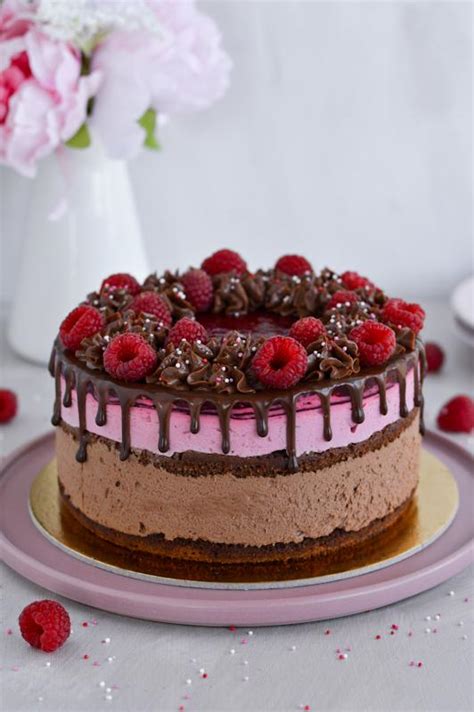 Shematski prikaz plastenja torte: biskvit, navlažitev, čokoladna krema, malinov žele.