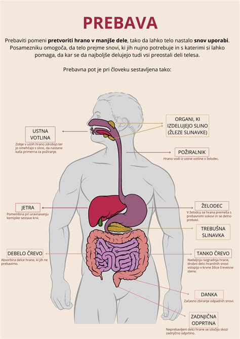 Infografika z zdravstvenimi koristmi zelenjave in sadja (npr. prebava, imunski sistem, preventiva raka)