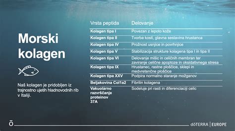 Infografika postopka sterilizacije kozarcev