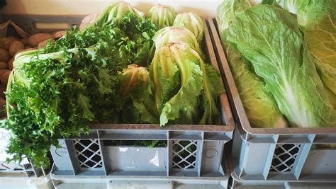 Avtohtone sorte zelenjave na Sparovih policah