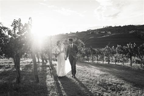 Fotografija terasastih vinogradov v Goriških Brdih ob sončnem zahodu