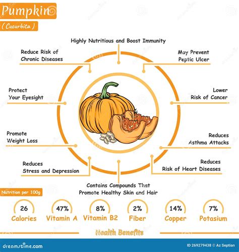 Infographic showing the preparation steps for pumpkin puree