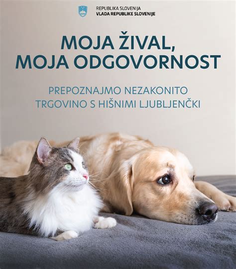 Tematska fotografija kunca kot hišnega ljubljenčka
