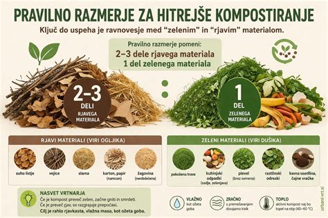 Infografika: Pravilno razmerje testa in nadeva v potici