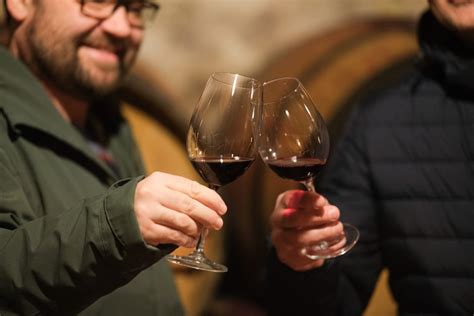 Degustacija vina v Kleti Brda