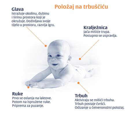 Infografika: Faze gnetenja testa in razvoj glutena