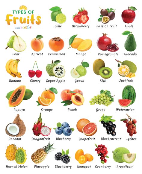 Infographic showing different types of fruit suitable for yogurt cake: cherries, berries, apricots.