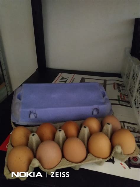 Tematska fotografija jajc na kmetiji